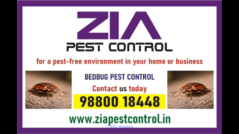 Bedbug service | Paying Guest | Upto 25% Off | Appartment | School | 3 - Photo 1