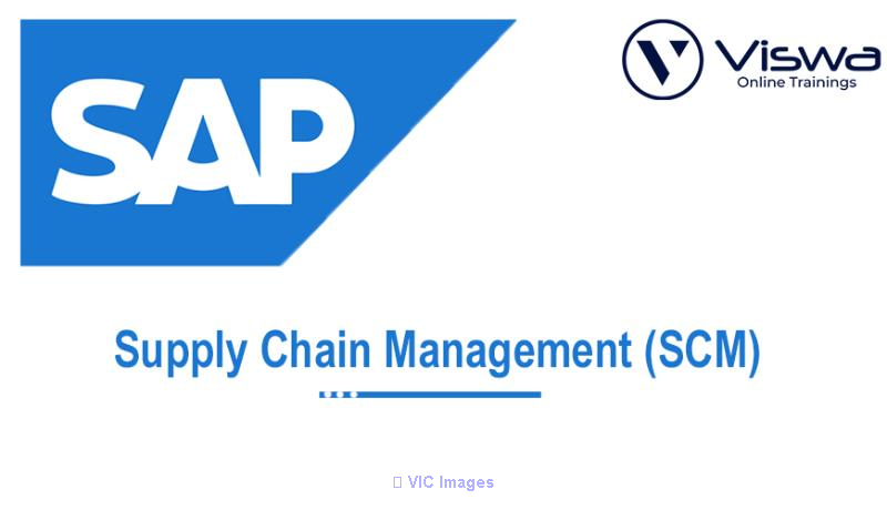 SAP SCM  Online Training Institute From India - VISWA Online Trainings - Photo 1