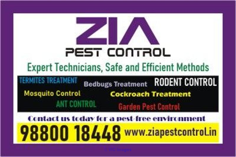 Zia Pest control | General pest control services in Bangalore | Termit