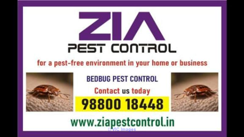 Top Bedbug pest Control service in | Bengaluru Bed Bug treatment | 501