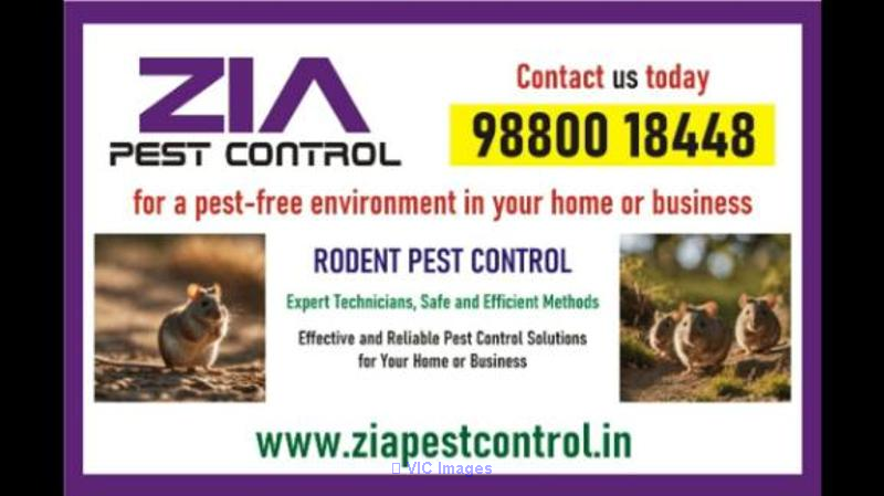 Rodent Treatment Near me | Keep Your Home Pest-Free | Call Us Today |  - Photo 1