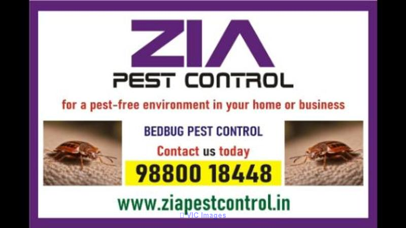 Bed Bugs Control | Bed Bugs Treatment | Bengaluru service provided | 3 - Photo 1