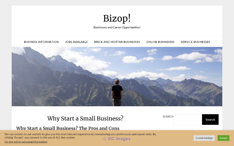 Bizop Businesses and Career Opportunities | Start & Grow Your Success - Photo 1
