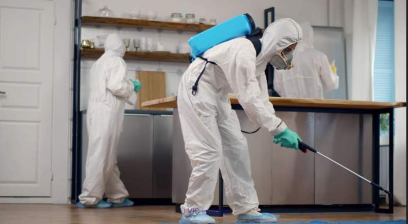 Innovative Pest  Solutions - Photo 1