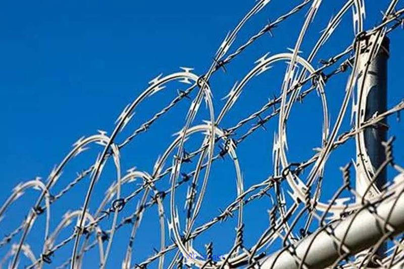 Concertina Coil Fencing Manufacturers in Punjab - Photo 1