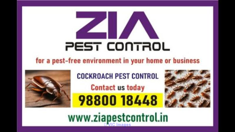 Pest control Service | AMC available for pest cleaning  | Call Now Coc - Photo 1