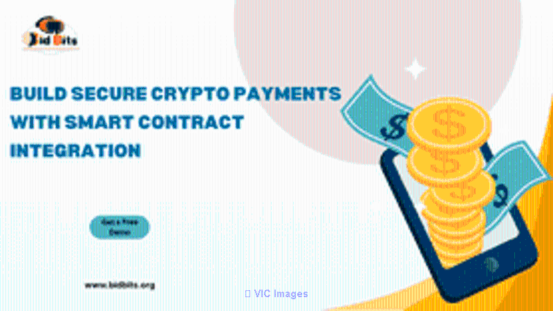 Build Secure Crypto Payments with Smart Contract Integration - Photo 1